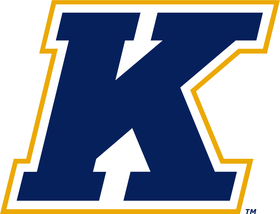Kent State Golden Flashes 2017-Pres Secondary Logo iron on transfers for clothing